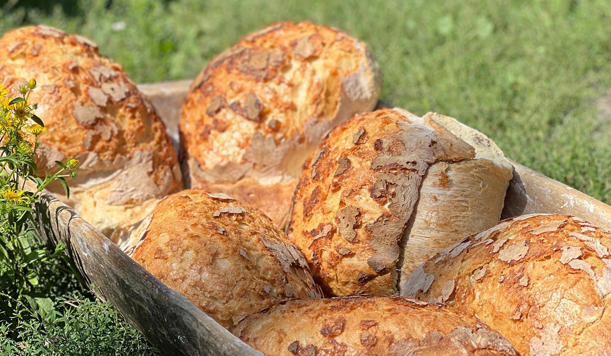 Bucate-de-posaga-7